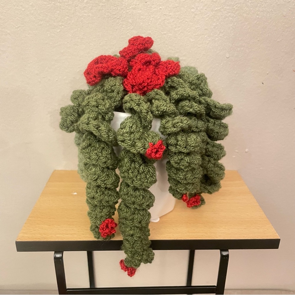 LD Yarn Creations Handmade Green & Red Crocheted Plant Décor – Approx 6” Tall - Picture 3 of 13